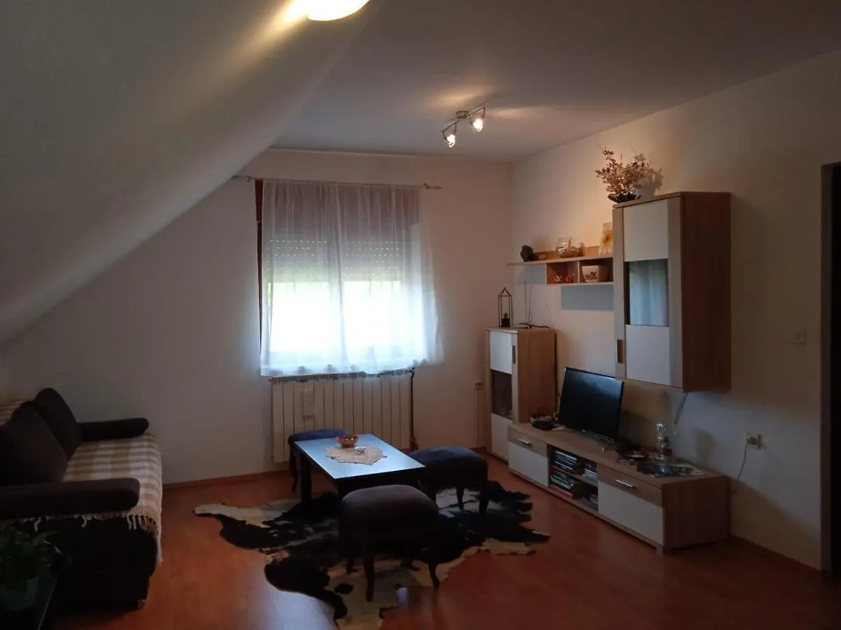 Apartment Apartman Skender 3* Ravna Gora